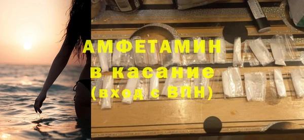 амф Аркадак