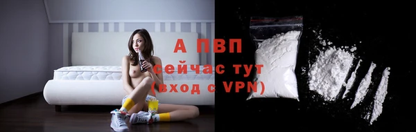 амф Аркадак