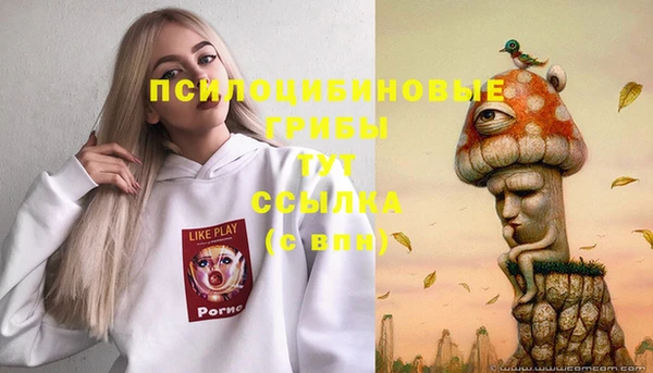 амф Аркадак